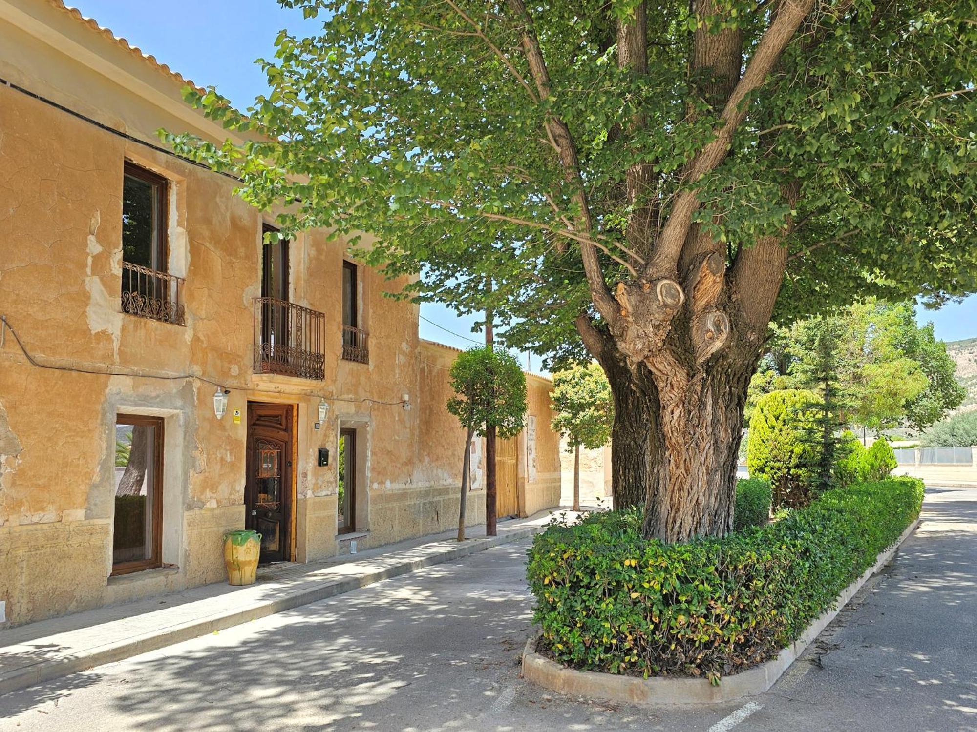 Bed and Breakfast Casa Rodriguillo Pinoso Экстерьер фото